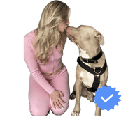@Manolya_Hundepsychologin