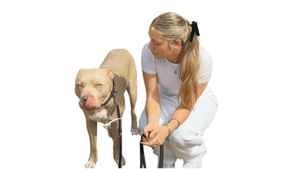 Manolya, Hundepsychologin und Ernährungsberaterin